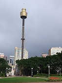 Sydney Tower 305m